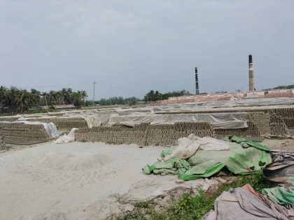 কোম্পানীগঞ্জে পরিবেশ অধিদপ্তরের যোগসাজশে চলছে আ.লীগ নেতার ইটভাটা